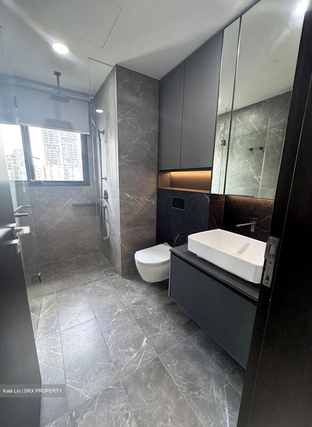 Irwell Hill Residences (D9), Apartment #566242741
